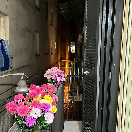 Niko House Vakantiehuis